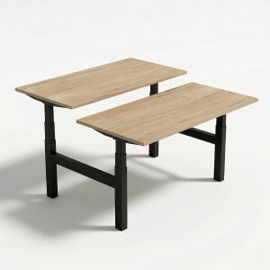 DKM Ultimo- Elektrisch ergonomisch DUO stazit bureau - 10 jaar garantie