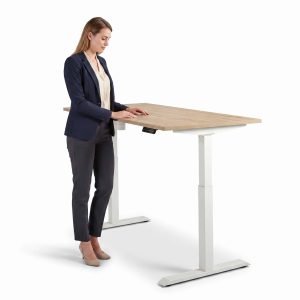 Zit/sta 120H -elektrisch enkel bureau budget